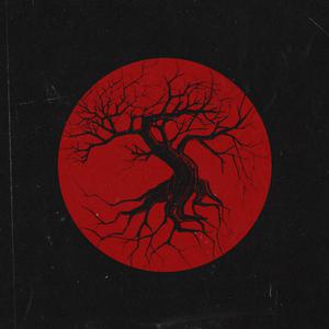 性别 自由 凸轮 性别 成熟
