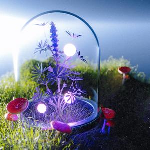 性别 自由 凸轮 性别 成熟
